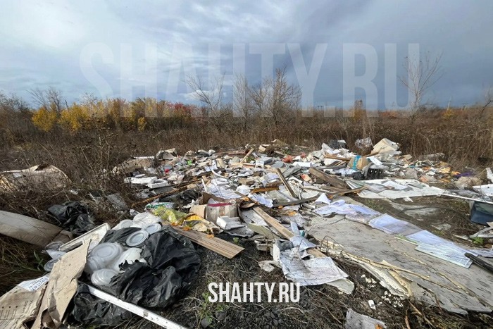 В г. Шахты «серый возчик» убрал свою свалку