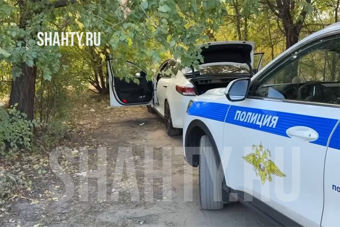 Гражданин укусил за ногу инспектора ДПС под Каменском в Ростовской области