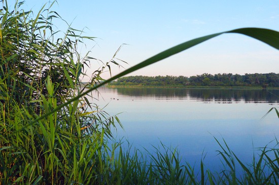 Поймали 36 лещей и гибридов под Шахтами на Вербенском водохранилище — заработали уголовное дело