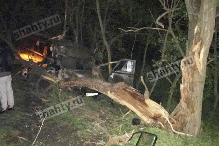 УАЗ влетел в дерево в Ростовской области: водитель погиб