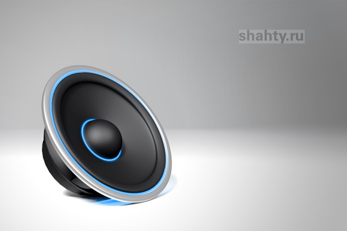 Из машины в Шахтах украли акустические колонки и все автомобильные коврики