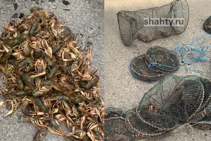 Рыбаки поймали почти 200 раков на реке в Ростовской области и были задержаны