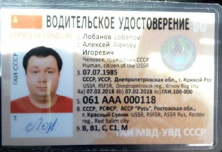 Два «Соляриса» с номерами СССР ездили по Ростовской области [Фото]