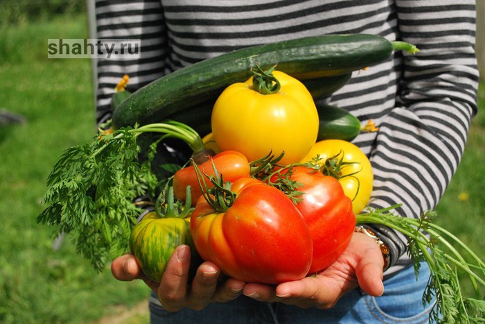 В г. Шахты пройдет сельскохозяйственная ярмарка «выходного дня»