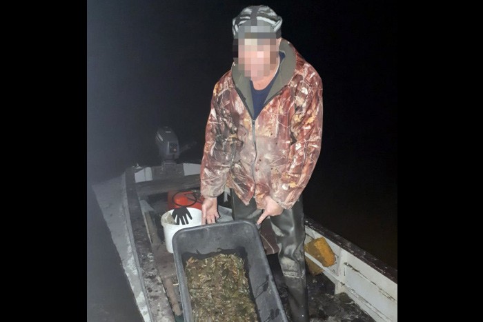 За 146 пойманных раков в реке Мертвый Донец парню грозит тюрьма