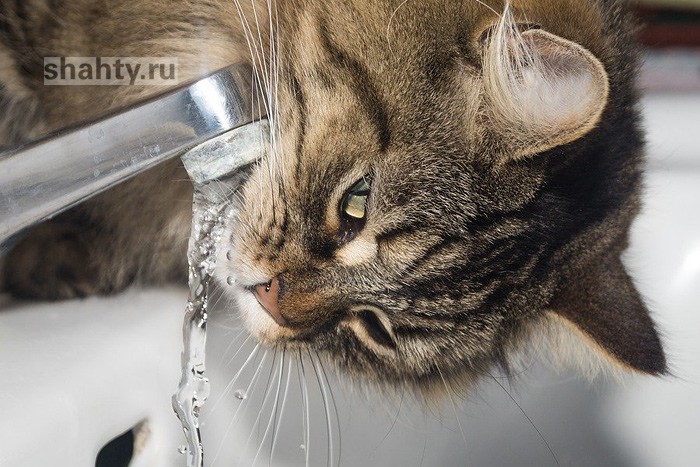 В Шахтах 20 июля без воды останутся четыре городских района