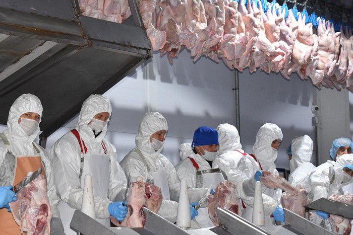 В Шахтах начал работать завод по переработке индейки