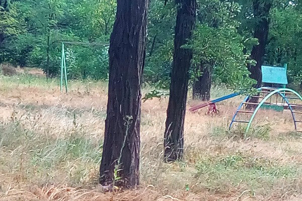 В г. Шахты детская площадка превратилась в «кушири»