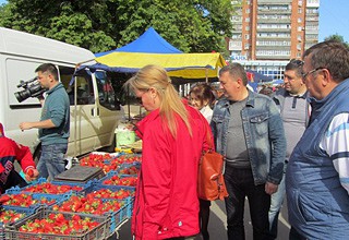 В г. Шахтах следующая сельскохозяйственная ярмарка пройдет не раньше августа
