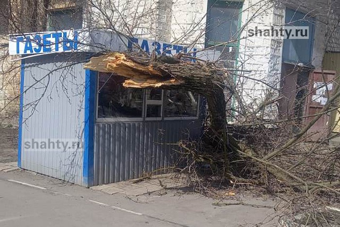 В Шахтах ветер сдувал заборы и валил деревья: в городе устранили последствия непогоды