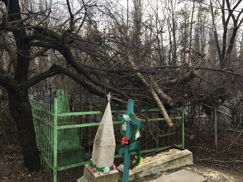 Кладбище города шахты. Центральное городское кладбище города Шахты. Кладбище Шахты Ростовская область. Шахтинское кладбище город Шахты.