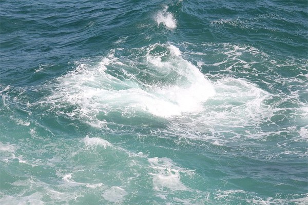 Утонул мужчина в Соколовском водохранилище неподалеку от г. Шахты