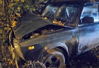 Пьяный отчим едва не угробил 8-летнюю девочку в г. Шахты, врезавшись в дерево на ВАЗе [Фото]