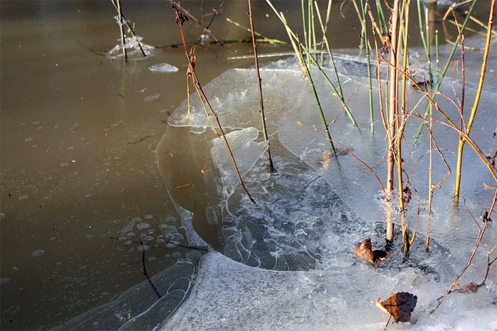 Мужчина провалился в воду, переходя по льду Дон