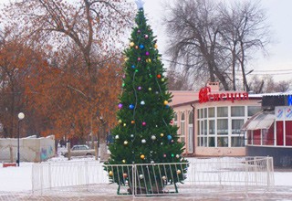 В парке г. Шахты установили приличную елку, после скандальной прошлогодней