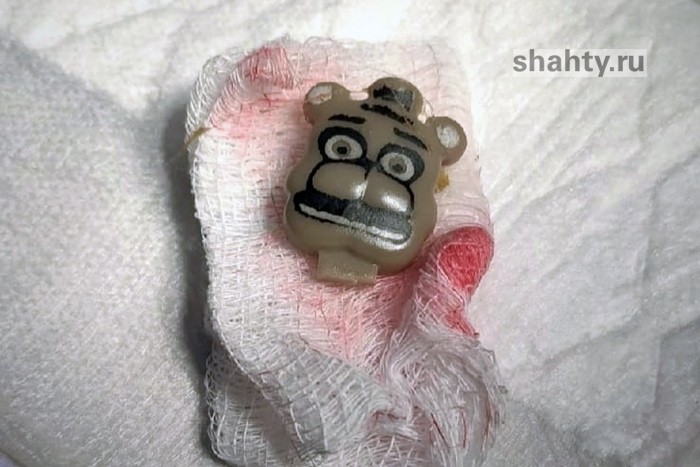 В Шахтах ветврачи спасли кота, проглотившего «скрепыша»