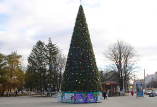 Установят 8 елок в г. Шахты — главная появится до 8 декабря и будет искусственной