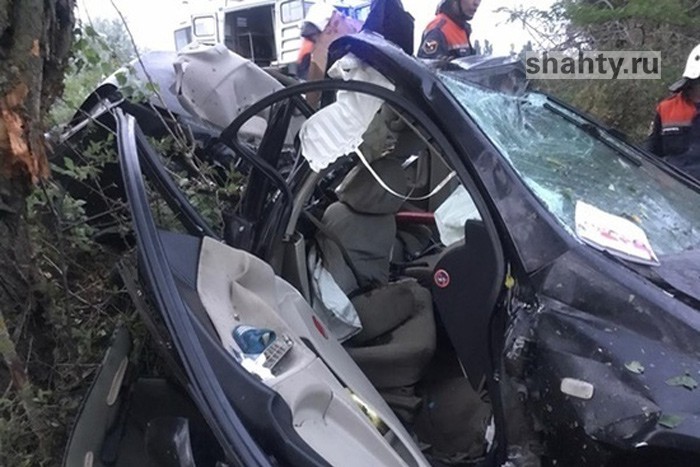 Nissan протаранил дерево на трассе: погиб четырехлетний пассажир