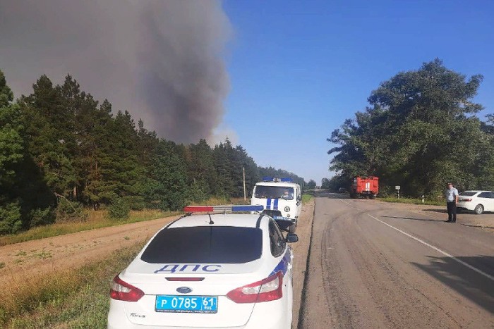 Вновь выгорел лес на площади 54 гектара в Каменском районе