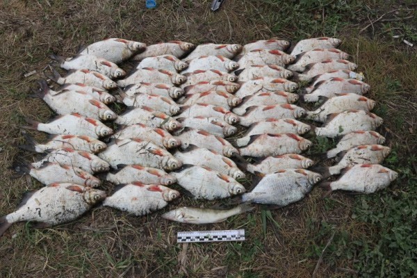 У рыбака изъяли сеть и рыбу, пойманную на реке Северский Донец