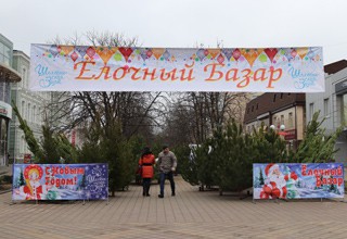 Елки и сосны можно купить в г. Шахты в 32-х местах