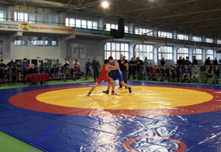 В г. Шахты соревнуются в греко-римской борьбе 100 спортсменов — проходит первенство Ростовской области