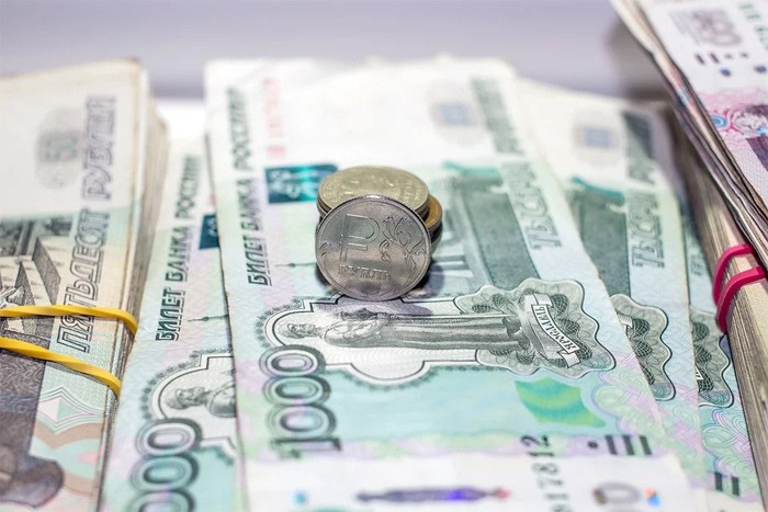 Под Шахтами директор школы похитила из бюджета 450 тысяч рублей