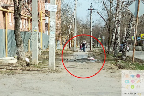В г. Шахты помыли бетононасос на тротуаре рядом со стройкой на улице Достоевского