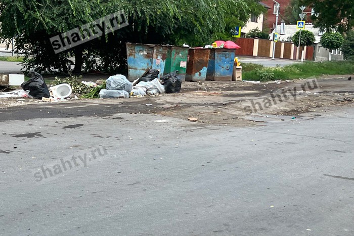 Жителям Шахт напомнили, что нельзя выбрасывать на контейнерные площадки