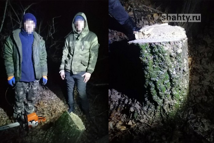 Пойманы черные лесорубы: их задержали полицейские линейного отдела на станции Шахтная