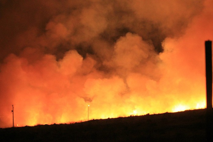 Из-за угнанного авто сгорело 330 гектаров леса в Ростовской области