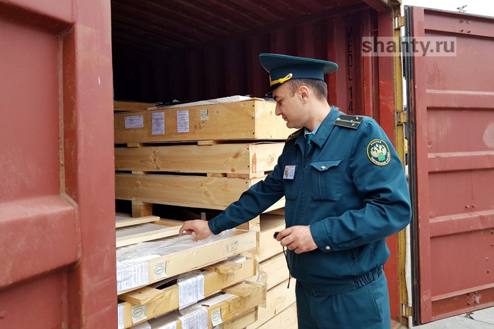 Ростовская область перестала быть приграничным регионом России: остановлен таможенный контроль