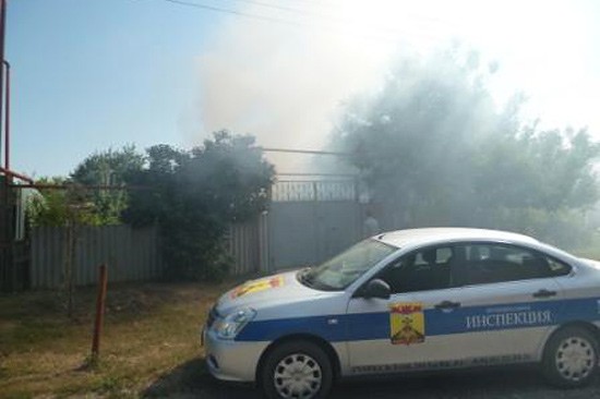 Жители г. Шахты заплатят 38 тысяч рублей за животных, деревья и выжигание сухой растительности