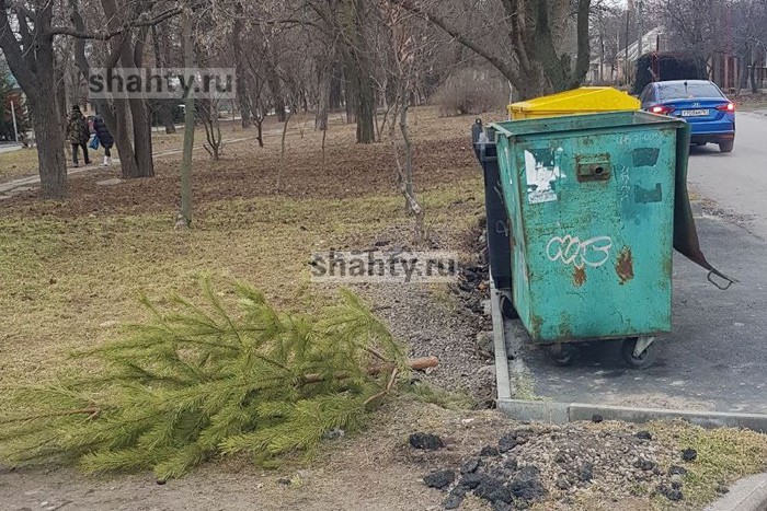 За выброшенную новогоднюю елку грозит штраф в Шахтах и Ростовской области