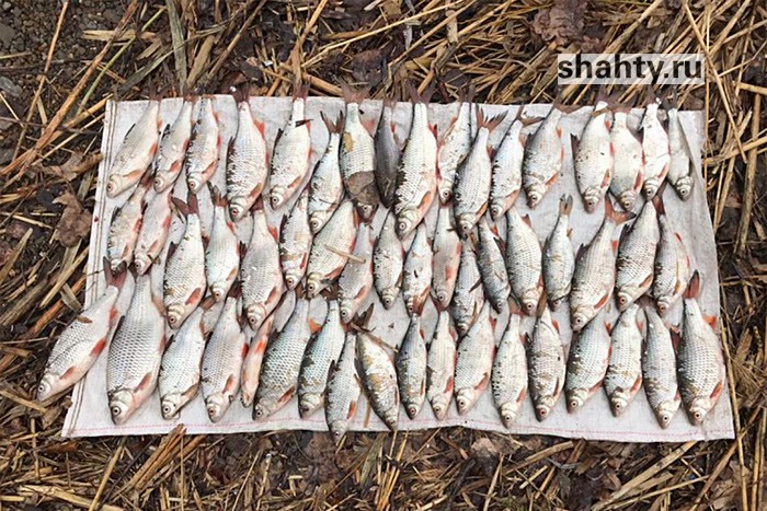 Ловля рыбы сетями и раков раколовками привела к уголовным делам