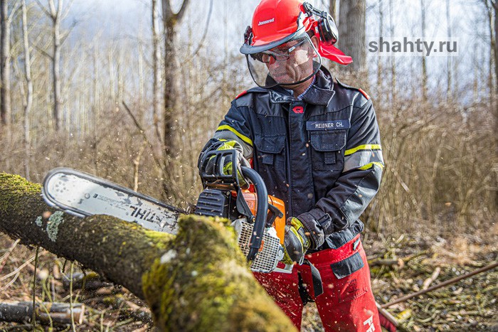 В Шахтах вырубают деревья вдоль дороги ХБК — Артем