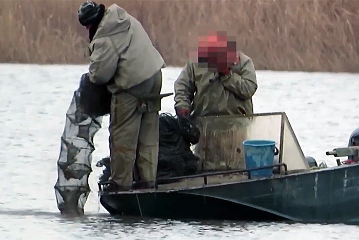 Рыбаки поймали 200 раков — их ждет 5 лет тюрьмы [Видео]