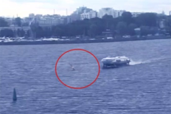 Погиб 18-летний дончанин, попав под «Метеор» на подводных крыльях