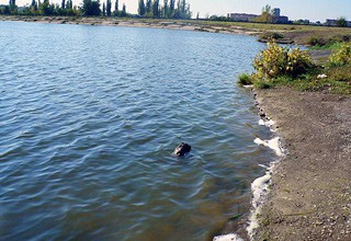 В г. Шахты на очистку берегов пруда ХХ лет РККА и водохранилища ХБК дали 40 тысяч рублей