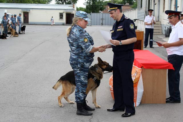 Кинолог гуфсин